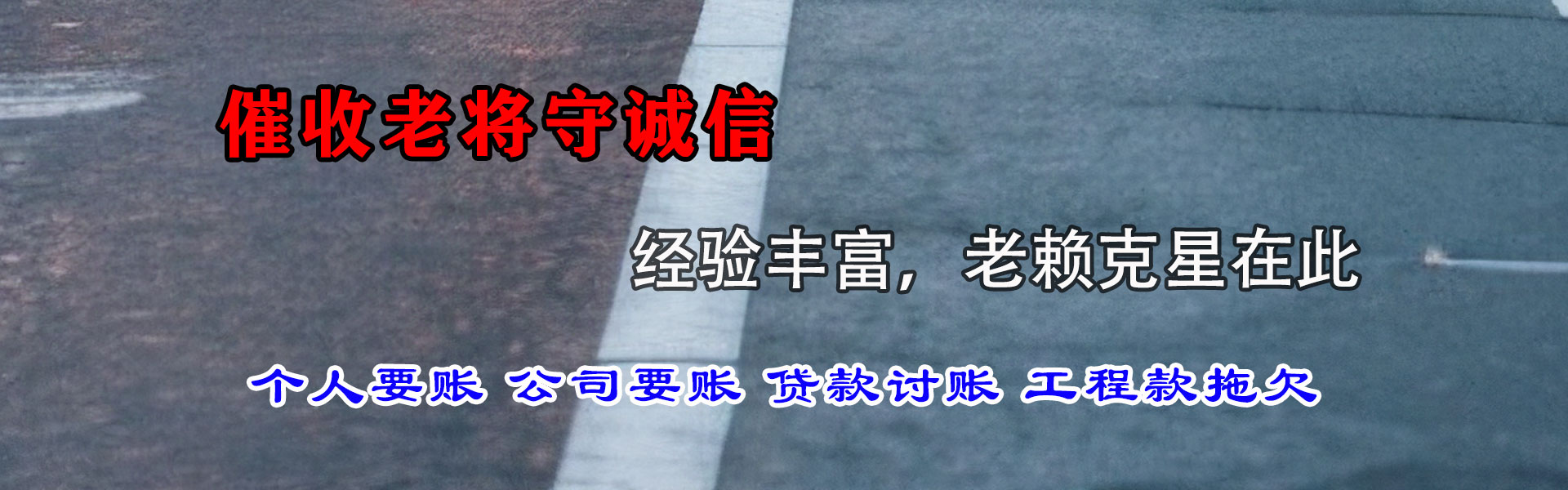 柳城追账公司